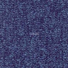 Radici Trotter Cobalto 2004 фото 1 | FLOORDEALER